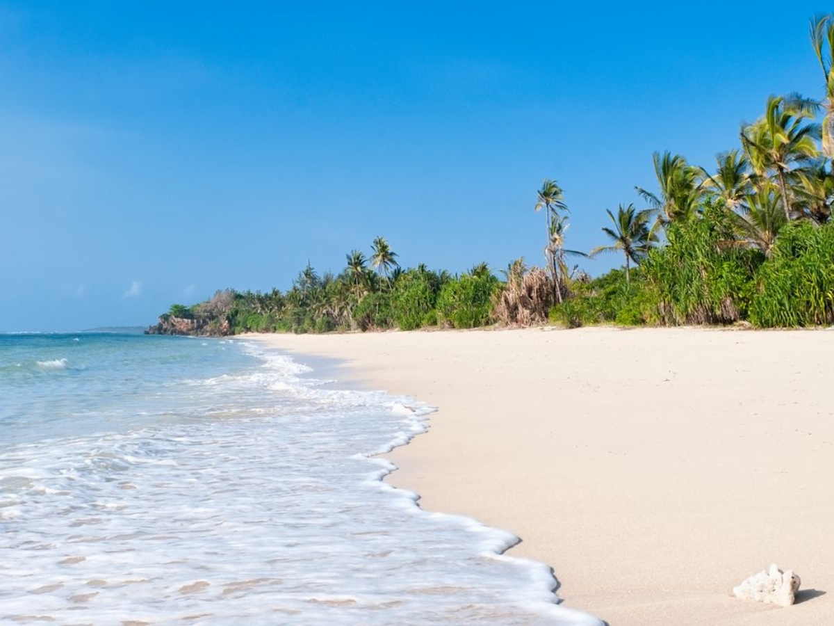 Travel to Diani from Nairobi with Aulus Tours & Travel